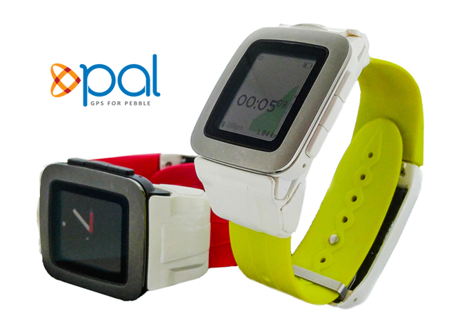 Pal Smartstrap
