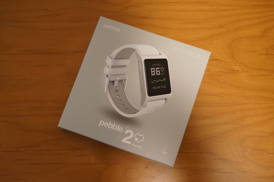 【2020年11月】pebble2を購入したので、いまさらレビュー